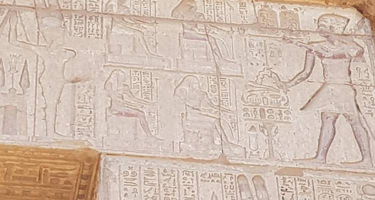 Gros plan d'hiéroglyphes égyptiens antiques et de sculptures en relief sur pierre.