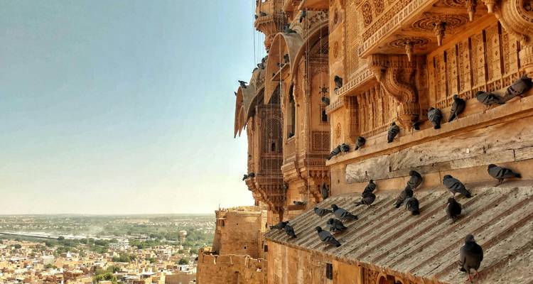 Pigeons perched on a ledge with historic architecture.