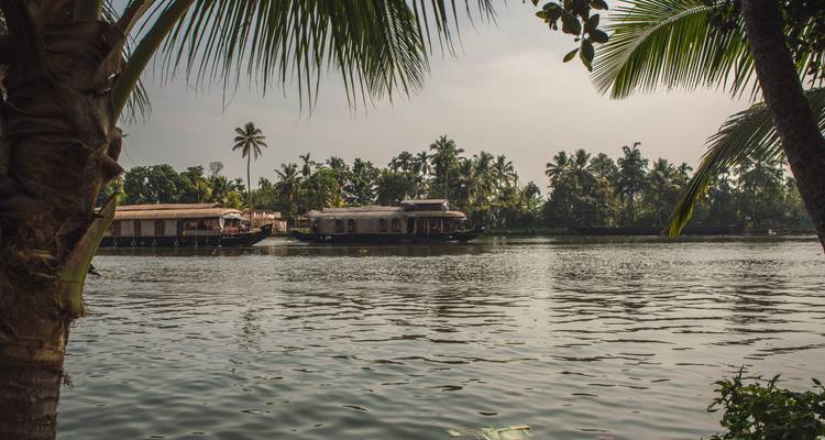 Serene backwater scene with palm-lined banks and houseboats on still water