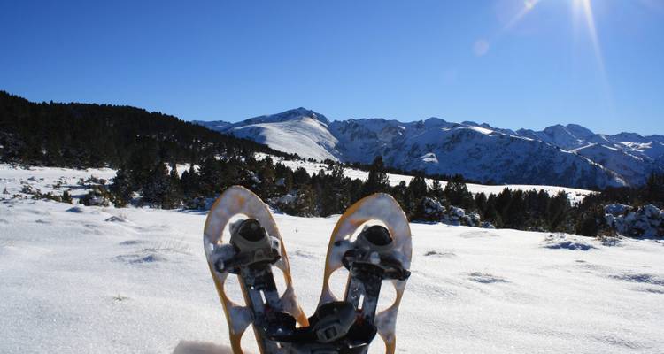 Raquetas de nieve descansando en un campo nevado con paisaje montañoso.
