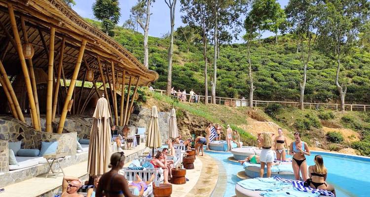 Ontspanning bij het zwembad met een weelderige groene achtergrond.