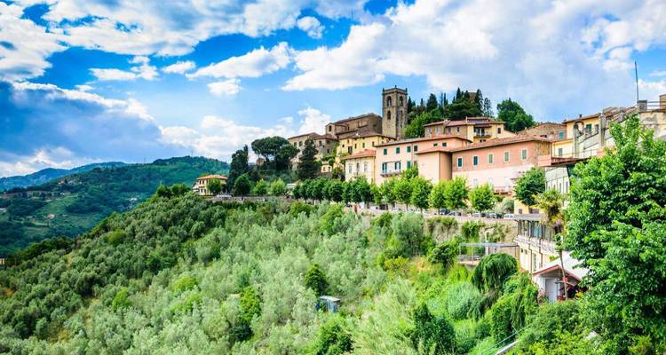 Un village à flanc de colline avec des bâtiments colorés et de la verdure.