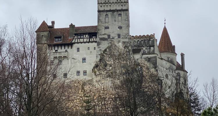 Château de pierre médiéval construit sur une colline rocheuse entourée d'arbres.