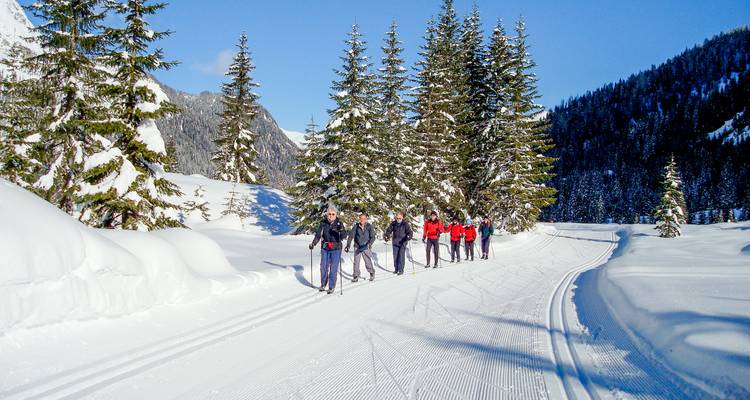 Un petit groupe de skieurs traverse une piste forestière chargée de neige sous un ciel bleu dégagé.