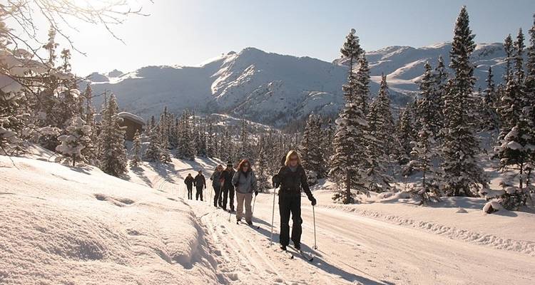 Cross-country Skiing: Kvitavatn - Exodus Travels
