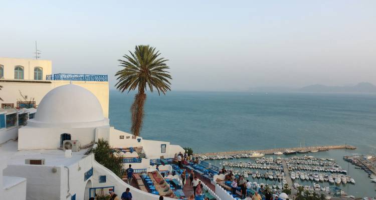 Vue bord de mer avec marina, bâtiments blancs et un palmier.
