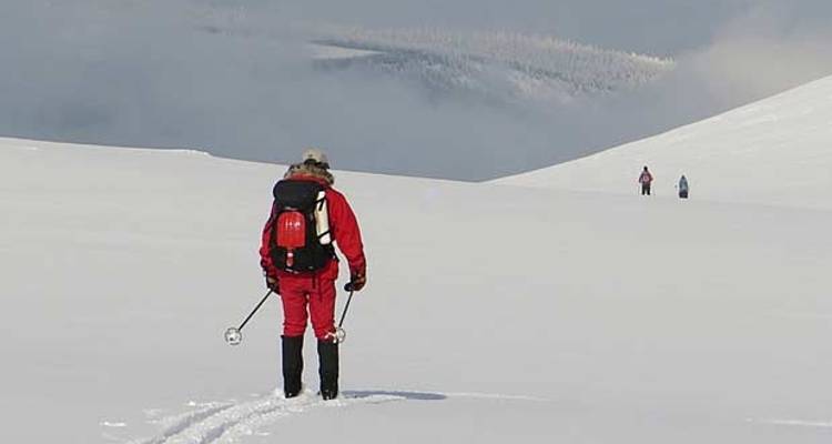 Cross-country Skiing: Mosstrond - Exodus Travels