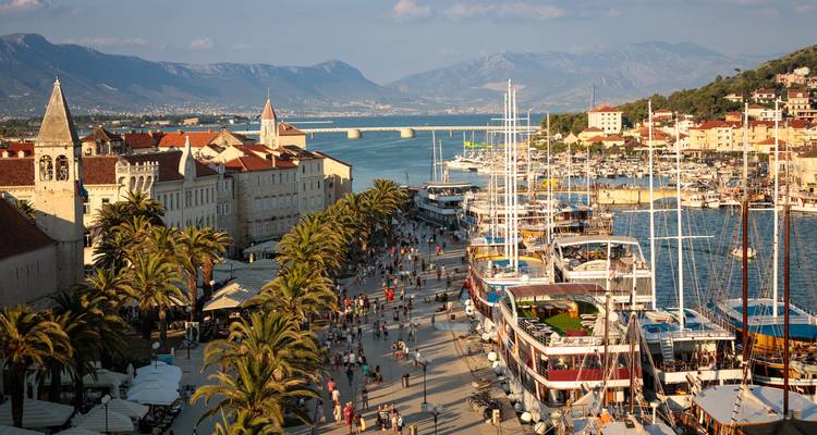 Promenade ensoleillée avec palmiers et bateaux, grouillante de monde.