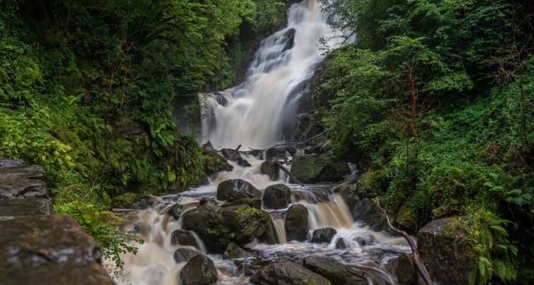 A cascading waterfall tumbles over moss-covered rocks in a lush green forest.