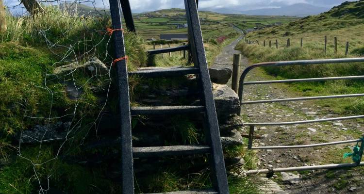 Wooden stile ladder over a stone wall and gate on a rural footpath amid rolling green hills.