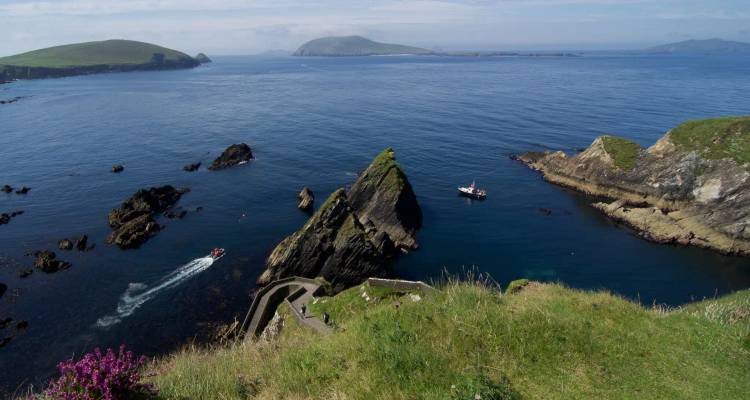 Panoramic view over turquoise waters, sea stacks and the winding Dunquin pier from a grassy cliff top.