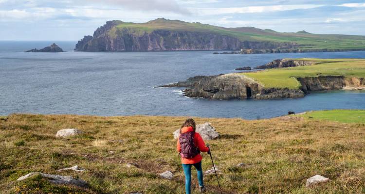 Hiker in red jacket gazes across a dramatic bay and craggy headlands from a flower-strewn hillside.