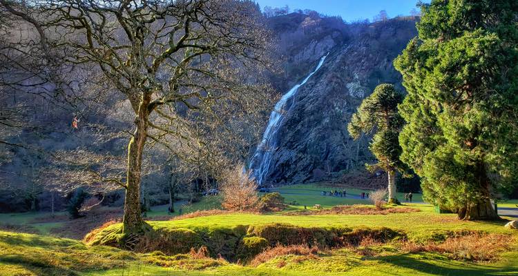Tall waterfall cascading through a scenic forest landscape.