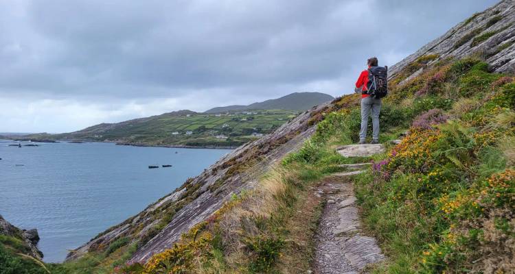 Hiker in red jacket pauses on a coastal cliff path overlooking a bay with patchwork fields.