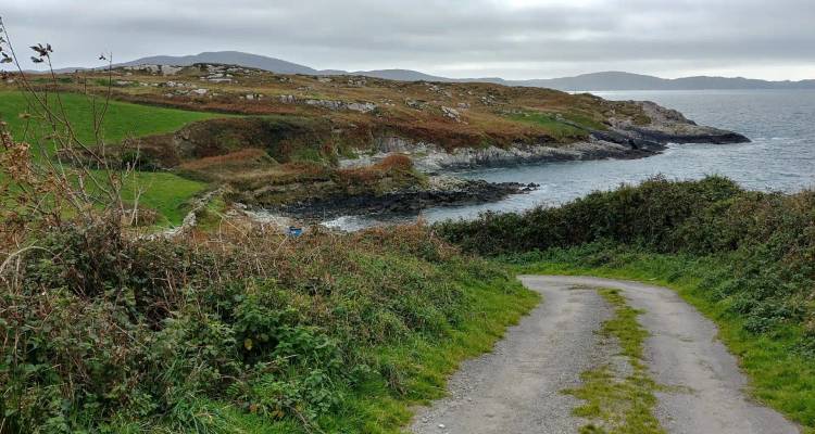 A grassy lane leads to a rocky shoreline with low hills and a grey sea beneath cloudy skies.