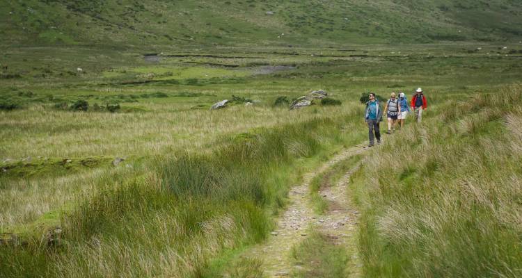A small group of hikers walks along a narrow grassy track through an open valley.