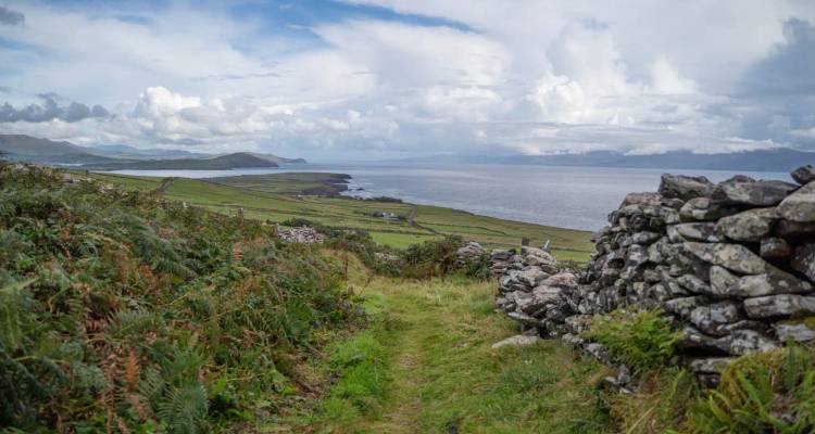 Coastal walking path bordered by ferns and an old stone wall, overlooking green fields and an expansive bay under a partly-cloudy sky.