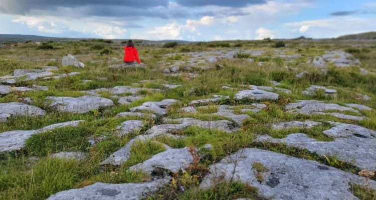 A person in a red jacket sits amidst the Burren’s limestone pavement dotted with grass and wildflowers.