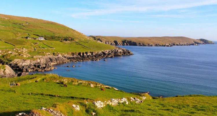 Rocky green headland meeting calm blue sea under clear skies.