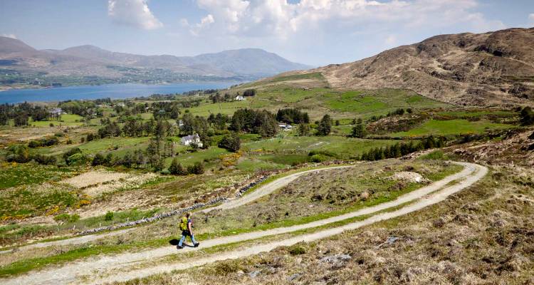 Walker on winding dirt path through rolling green hills with a blue lake in the distance.