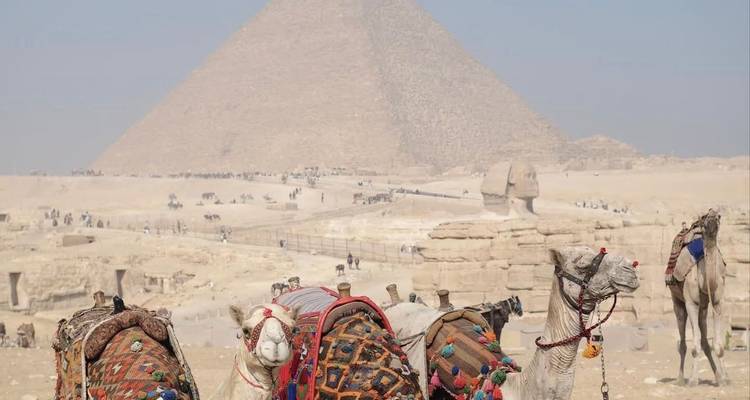 Des chameaux au premier plan avec des pyramides et un sphinx en arrière-plan.