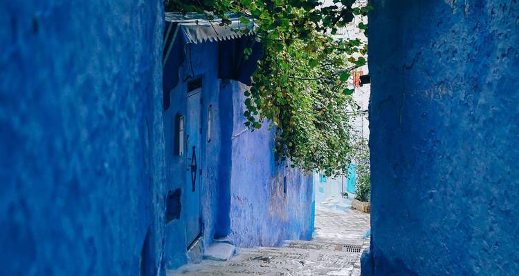 Calle azul vacía en Chefchaouen con enredaderas verdes.