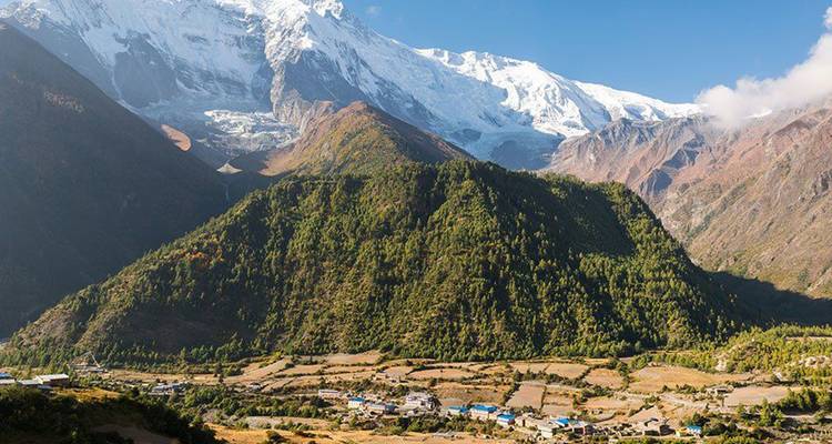 Village népalais avec une végétation luxuriante et des montagnes enneigées en arrière-plan.