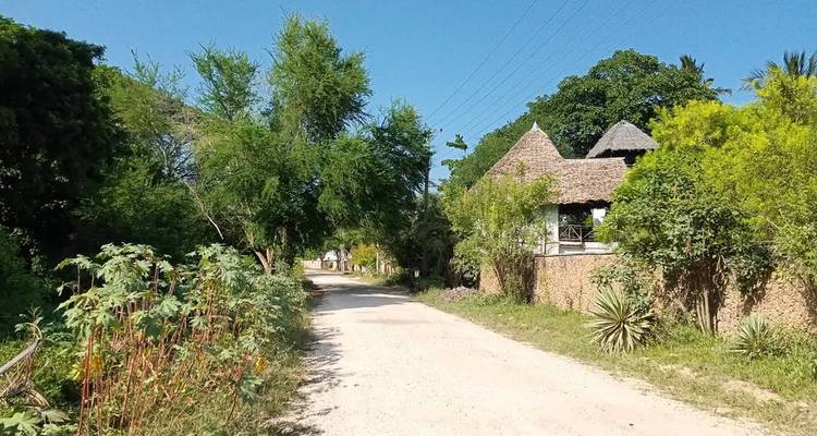 Chemin de terre avec huttes traditionnelles et arbres.