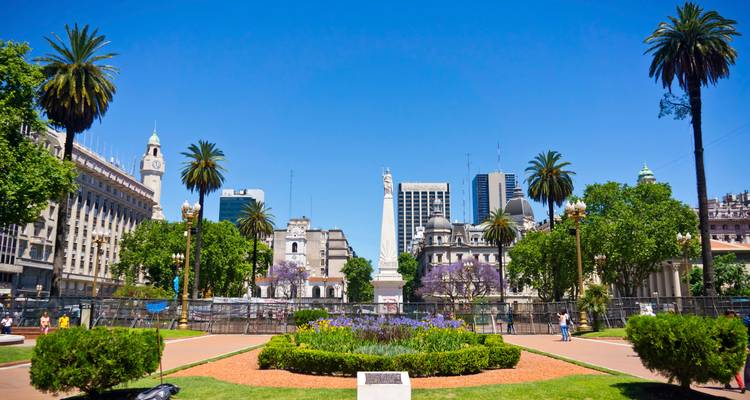 Jardin de la Plaza de Mayo avec des palmiers, des jacarandas violets et des bâtiments du gouvernement de la ville sous un ciel bleu éclatant