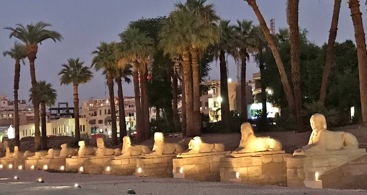 Rangée de statues de sphinx éclairées au crépuscule avec des palmiers.