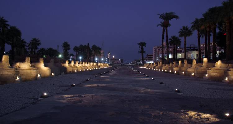 Vue de l'Avenue des Sphinx illuminée la nuit.