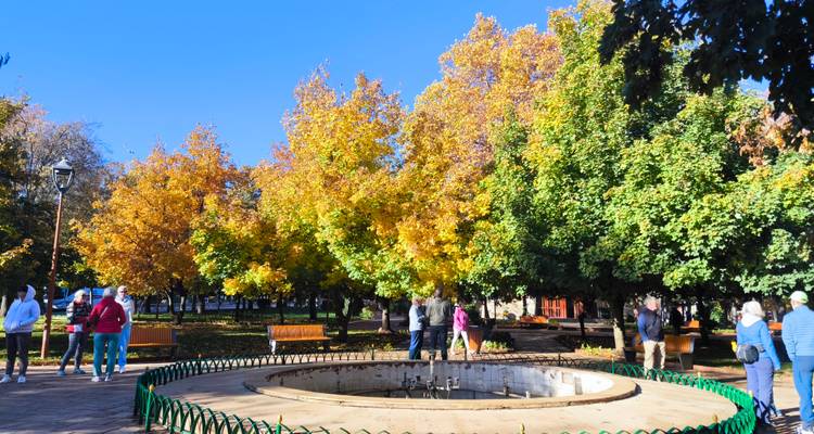 Un parc avec des arbres d'automne vibrants et des gens qui se promènent autour d'un banc circulaire.