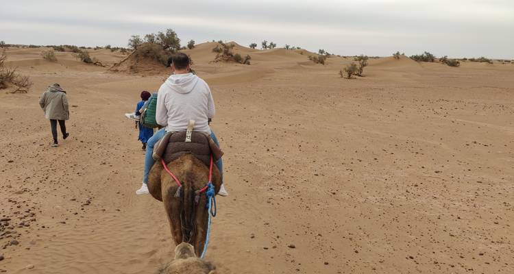 Des personnes à dos de chameau dans un paysage désertique.