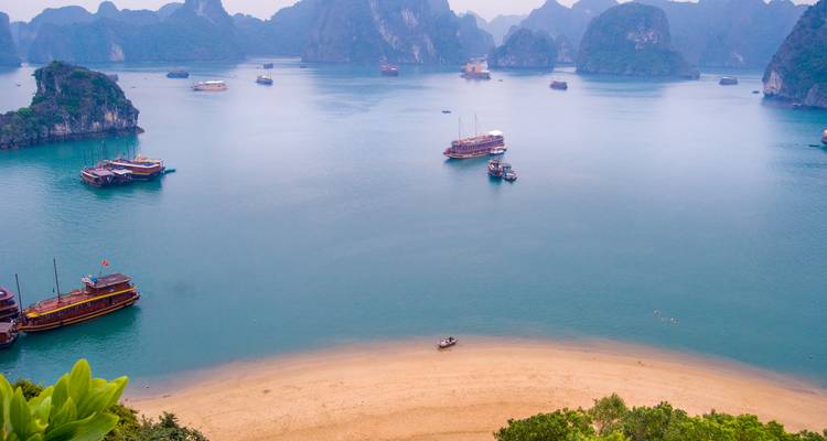 Hochansicht der smaragdgrünen Buchten und Kalksteinkarstformationen der Ha-Long-Bucht, die mit Kreuzfahrtschiffen übersät sind.