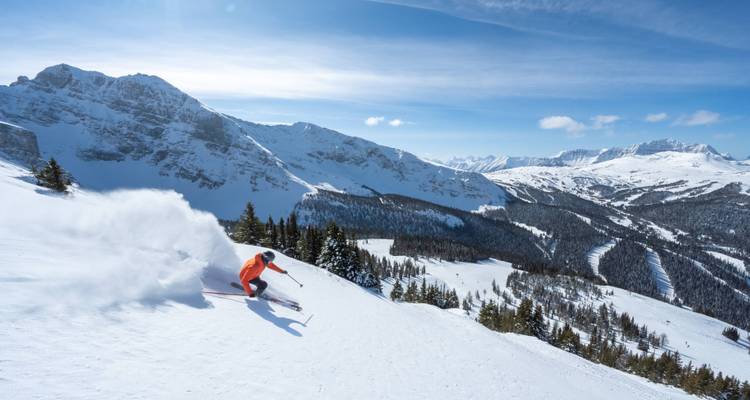 Un skieur sculptant sa descente sur une montagne enneigée avec un sillage de poudre de neige.