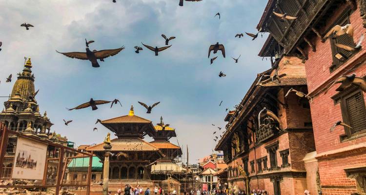 Historic buildings with pigeons flying across the sky.