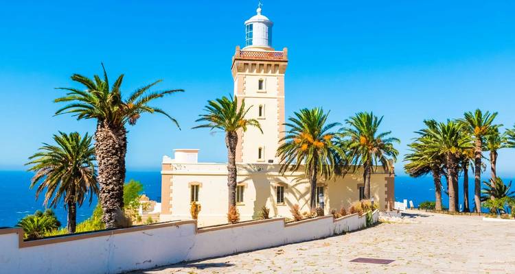 Una vista panorámica de un faro rodeado de palmeras junto al mar.