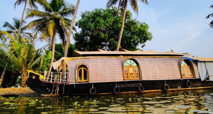 Traditional houseboat on a river surrounded by palm trees.