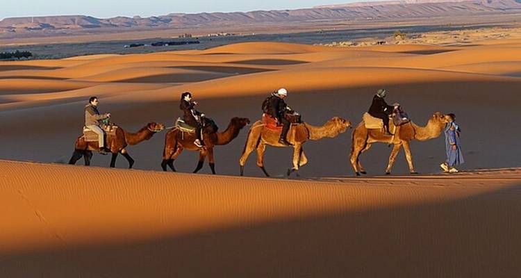 Een karavaan van kamelen die wordt geleid over woestijnduinen.