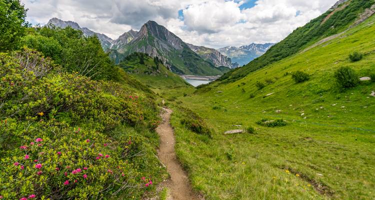 Bergpfad mit üppiger Vegetation und malerischen Bergblicken.