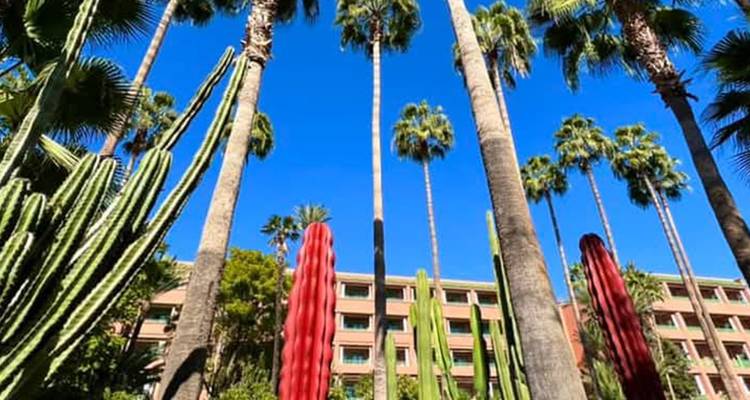 Hoge palmbomen tegen een heldere blauwe lucht met een zichtbare gebouwgevel.