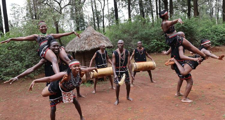 Des personnes en costumes traditionnels exécutant une danse acrobatique.