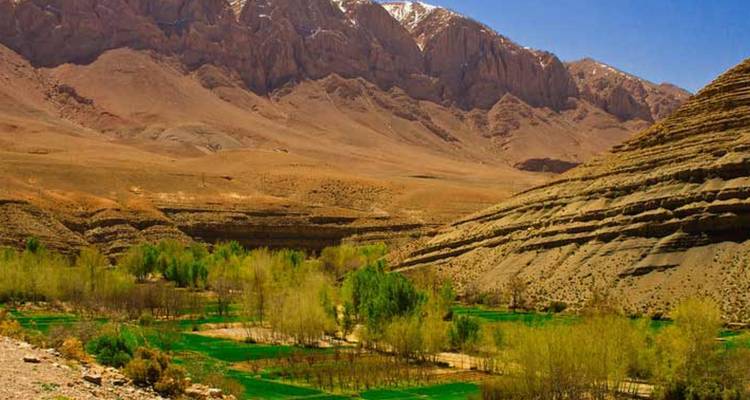 Wüstenlandschaft mit grüner Vegetation und Bergen.