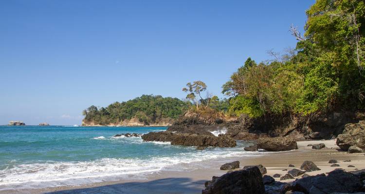 Belle plage avec côte rocheuse et forêt.