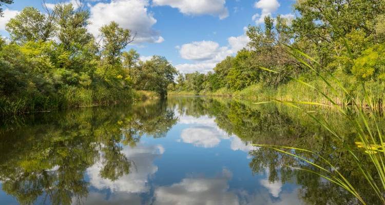 Rivier die stroomt door een groen bosgebied met blauwe lucht.