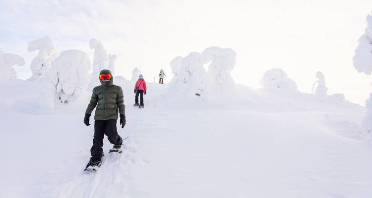Schneeschuhwanderer durchqueren surreale, schneebedeckte Baumformationen unter hellem Winterlicht.