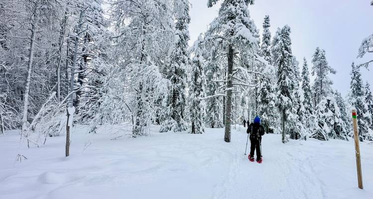 Ein Paar Schneeschuhe entlang eines Weges durch dichten, reifbedeckten Wald.