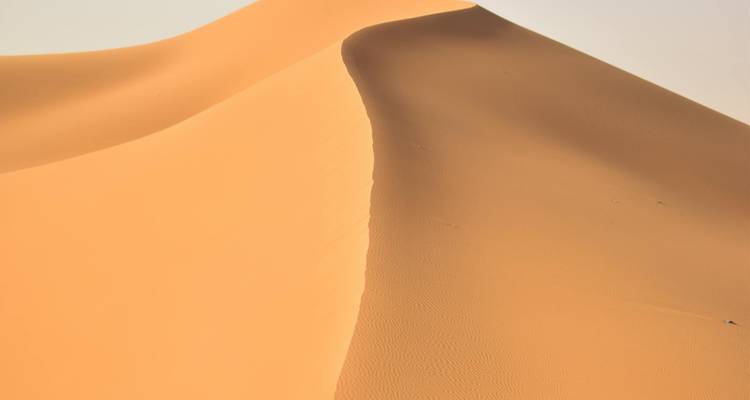 Primer plano de una duna de arena con curvas suaves y sombras.