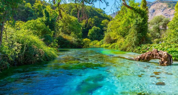 Une rivière bleue éclatante entourée d'arbres verts luxuriants.