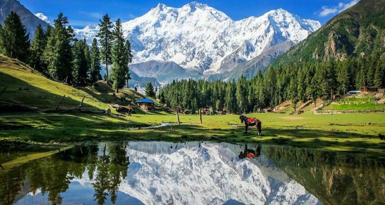Reflective pond with mountains and treeline.